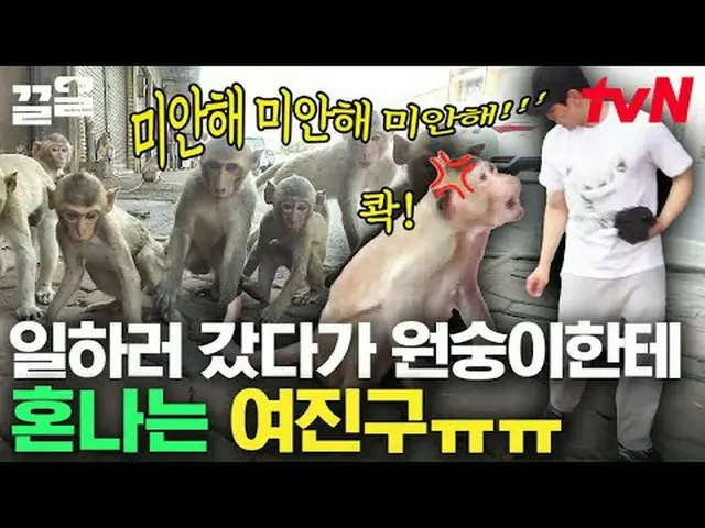 ถ่ายทอดสดทางทีวี: #tvN #จะกินข้าวท้องถิ่นมั้ย? เวอร์ชั่นไทย #Keull พูดถึงรายการบ