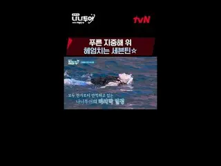 ถ่ายทอดสดทางทีวี: วิดีโอเต็มตามคำเรียกร้อง GL 👉 เจพี 👉 🗓ตารางเวลา tvN ออกอากา