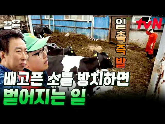 ถ่ายทอดสดทางทีวี: #tvN #Herding Voices 3 #กึล พูดถึงรายการบันเทิงระดับตำนานของ t