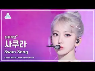 [#ChoiAeJikCam] LE SSERAFIM_ _ SAKURA (LE SSERAFIM_ ซากุระ) - เพลงหงส์ | โชว์เคส