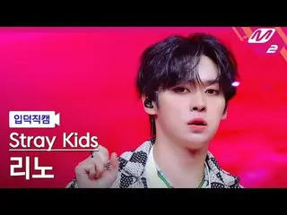 [กล้องครอบครัว] Stray Kids Reno - Jjam
 [Meltin' FanCam] Stray Kids_ _ LEE KNOW_