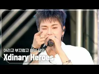 Xdinary Hero_ _ es_ (Xdinary Hero_ _ es_ _ ) - หนุ่ม, ขี้อาย, โง่

 #ShowChampio