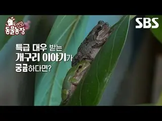 #ชินดงเย #จอนโซนี（チョン・ソンヒ）_ #โทนี่อัน_ #Joy #Frog #Geumsuni #Geumbok
 #TVAnimalF