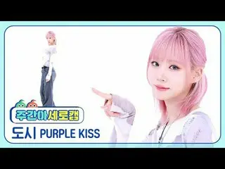 [แคมแนวตั้งไอดอลรายสัปดาห์]
 PURPLE KISS_CITY - บนจักรยานของฉัน PURPLE KISS_ _ D