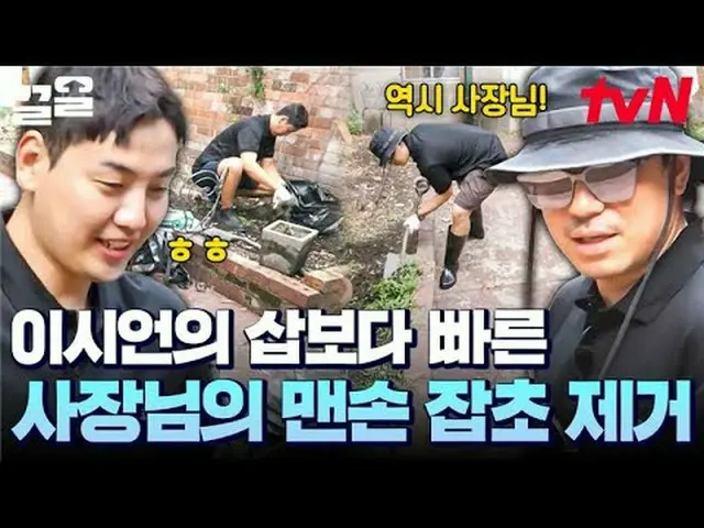 สตรีมมิ่งบน Tiving: #tvN #BusanCountryBoysInSydney #PullUp รายการวาไรตี้ในตำนานข