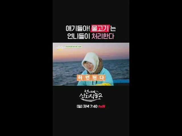 สตรีมมิ่งบน Tiving: {ส่งตรงถึงน้องสาว2} [วันอาทิตย์] 19:40 น. ทางช่อง tvN #tvN #