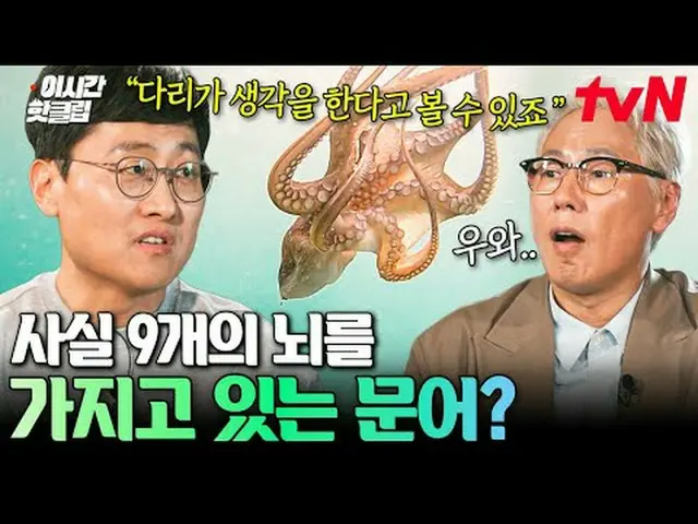 สตรีมมิ่งบน Tiving: #tvN #AllThings: Mediterranean ดูวิดีโอที่นิยมมากที่สุดบน Yo