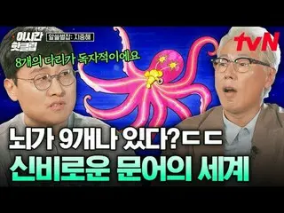 สตรีมมิ่งบน Tiving:

 #tvN #นิตยสารAlseulbyeolมิดเดิลซี
 ชมวิดีโอล่าสุดและได้รับ