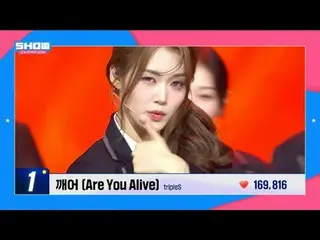 #ShowChampion #IdolChamp #STAGE_CHAM_ _ PION

 100%_ _ เวที CHAM_ _ PION แฟนๆ โห