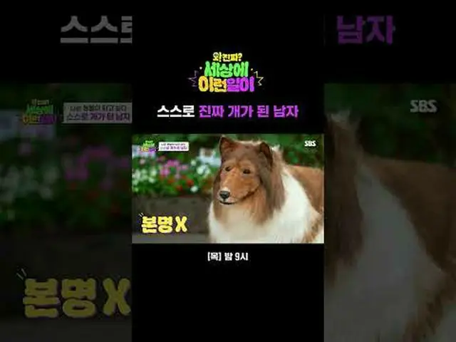 ชายผู้แปลงร่างเป็นสุนัขตัวจริง #จอนฮยอนอู_ #ไบจียอง_ #คิมโฮยอง#ซูบิน#คิมคยองอุค_