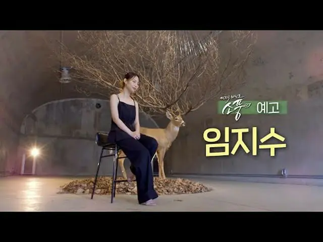 Picnic Live Picnic ตอนที่ 139: หลิน จื้อซิ่ว - Lim Ji-soo ปล่อยมินิอัลบั้มของเธอ