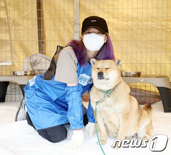 แฟนคลับในต่างประเทศของ "TWICE" จองยอนบริจาคเงินเพื่อสุนัขที่ถูกทอดทิ้งในวันเกิดของจองยอน