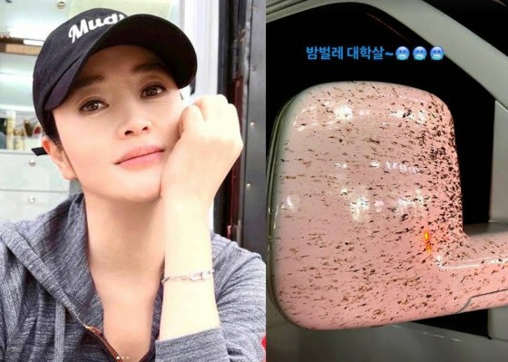 นักแสดงหญิงคิมฮเยซูประหลาดใจที่สภาพรถแย่มาก ... ประหลาดใจกับ "การฆ่าล้างเผ่าพันธุ์" ที่ทิ้งไว้ในกระจกมองข้าง