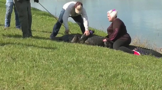 หญิงสหรัฐฯ เสียชีวิต หลังถูกลากลงน้ำขณะพาสุนัขไปเดินเล่น