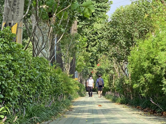 โซลสร้างถนนที่มีต้นไม้เรียงราย 100,000 ม. เพื่อลดฝุ่นละออง = เกาหลีใต้