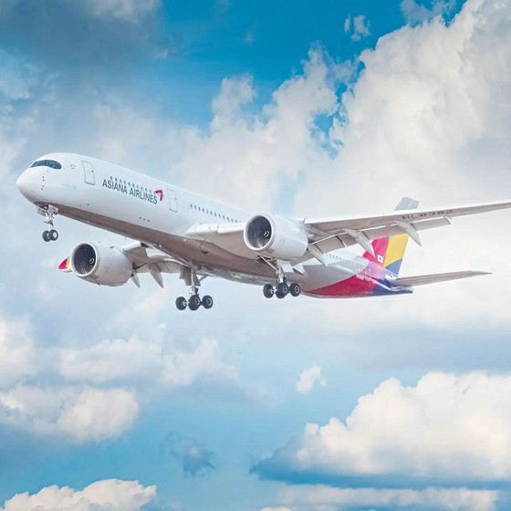 แอร์โฮสเตส Asiana Airlines ยืนทั้งตัวขวางทางออกฉุกเฉิน = ความคิดเห็นของเกาหลีใต้