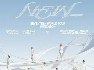"SEVENTEEN" อุบัติเหตุจากประกายไฟที่พุ่งเข้าใส่ผู้ชมคอนเสิร์ตที่อินชอน วันที่ 13... "สนับสนุนกระบวนการทางการแพทย์อย่างแข็งขัน"