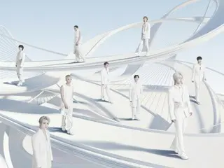 ผู้ชมได้รับบาดเจ็บ 2 ราย หลังประทัดหล่นใส่ผู้ชมคอนเสิร์ต SEVENTEEN