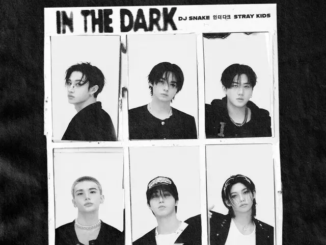 「Stray Kids」、DJ Snakeとコラボレーション…「In The Dark」をリリース