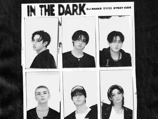 Stray Kids ปล่อยผลงานร่วมกับ DJ Snake ในเพลง "In The Dark"
