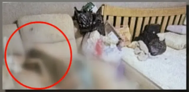 「体中にうじ虫が湧いた妻」夫は陸軍副士官…遺族が発見当時の状況を公開＝韓国