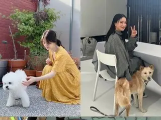 นักแสดงหญิงซงฮเยคโยบังเอิญเจอออมจองฮวาขณะพาสุนัขของเธอเดินเล่น...สุนัขยังทักทายกันอย่างเป็นมิตรอีกด้วย