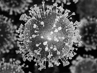 จีนยังกังวลเกี่ยวกับการฟื้นตัวของไวรัสโคโรนาสายพันธุ์ใหม่: ``JN.1 เพิ่มขึ้น'' = รายงานของเกาหลีใต้