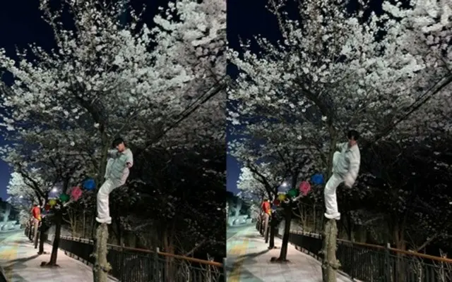 俳優チェ・ソンジュン、花見に桜の木に登りゴタゴタ騒動→結局削除も…2