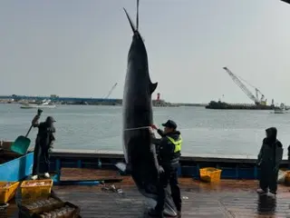 วาฬมิงค์ยาว 4.1 เมตรถูกจับได้ในแหแบบตายตัวนอกชายฝั่งโปฮัง ฮูมิกุก...ขายแบบฝากขายในราคา 55 ล้านวอน = เกาหลีใต้