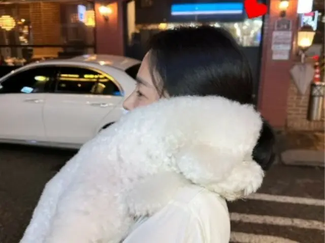 นักแสดงหญิงซงฮเยคโยเดินไปรอบเมืองโดยอุ้มสุนัขแสนรักของเธอ... เธอไม่สามารถซ่อนเส้นจมูกที่เรียวเล็กของเธอได้