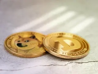 หวังชัยชนะของทรัมป์ในการเลือกตั้งประธานาธิบดีสหรัฐ... Dogecoin อันเป็นที่รักของ Elon Musk พุ่งทะยาน