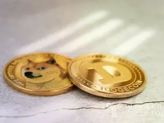 Dogecoin ทะยานขึ้น 80% ในหนึ่งสัปดาห์...คาดว่าจะเพิ่มขึ้นอีก