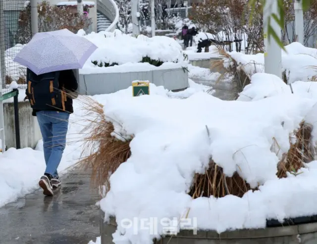 11月に「記録的大雪」全国各地で事故多発＝韓国