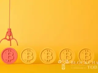 Van Eck: “การสะสม Bitcoin ของสหรัฐฯ เป็นสินทรัพย์สำรองทางยุทธศาสตร์จะช่วยลดหนี้ของประเทศ”