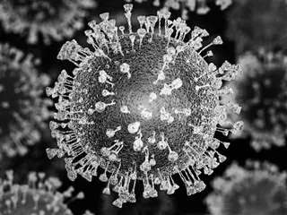 US FBI กล่าวว่า ``coronavirus ใหม่รั่วไหลจากห้องปฏิบัติการ'' เมื่อ 3 ปีที่แล้ว = รายงานของเกาหลีใต้