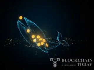 Hyper Liquid Whale เปลี่ยนจาก Long เป็น Short มูลค่า Bitcoin 1 พันล้านดอลลาร์