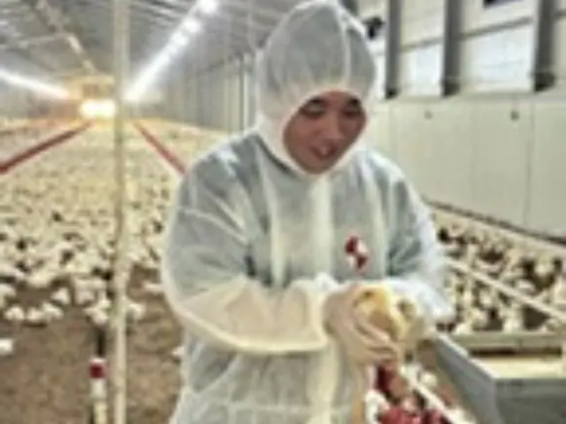 ล็อตเต้มาร์ทเริ่มเลี้ยงไก่เพื่อให้มั่นใจว่ามีอาหารเพียงพอ - เกาหลีใต้