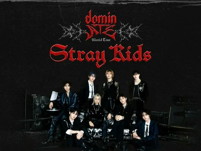「Stray Kids」北米ツアー成功裏に終了、世界中のメディアとファンから賛辞とアンコールを求める声も