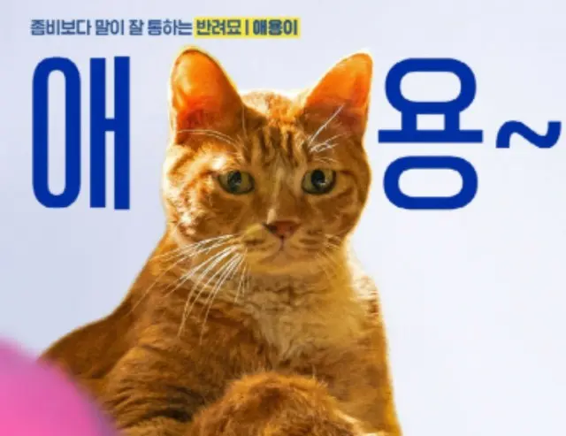 映画「ゾンビになってしまった私の娘」、爆発的反応”破竹の勢い”…200万を超え300万を狙う