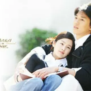 Love Story in Harvard