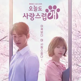 A Good Day to Be a Dog