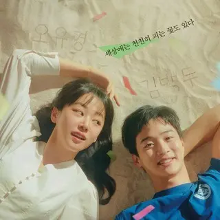 Like Flowers in Sand