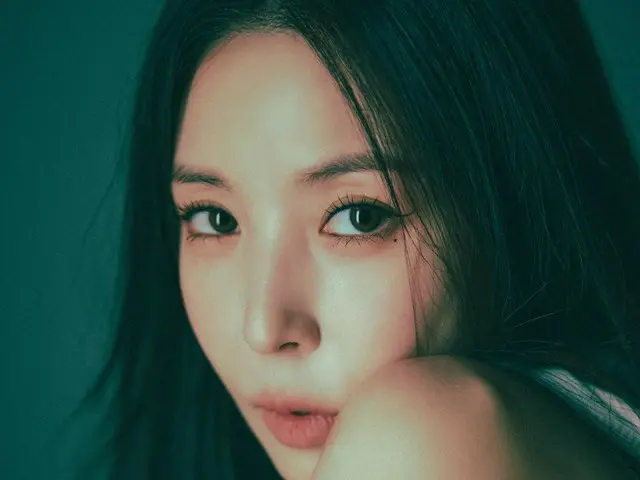 โบอารีสตาร์ทอินสตาแกรม...คอนเสิร์ต "BoA One's Own 2024" จะจัดขึ้นวันที่ 12 และ 13