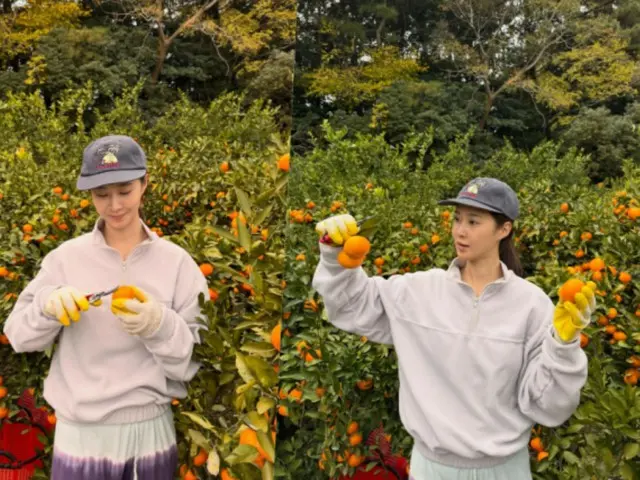 ควอน ยูริ อาศัยอยู่ในสองสถานที่ คือ เกาะเชจูและกรุงโซล... วันนี้กำลังเก็บเกี่ยวส้มแมนดาริน "ฉันเป็นเกษตรกรหนุ่ม"